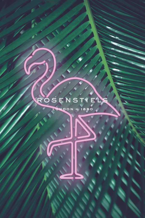 Neon Flamingo - Otto Gibb