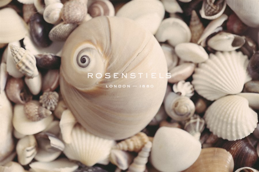 Shell Medley - John Harper
