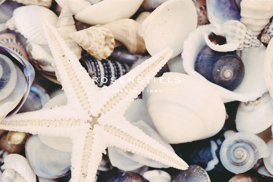 Sea Medley - John Harper