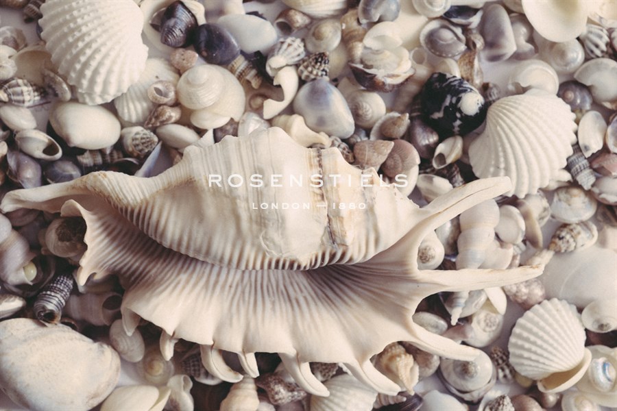 Ocean Medley - John Harper