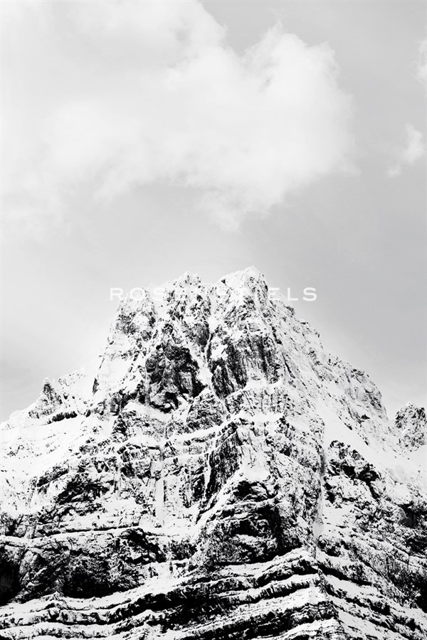 The Summit Anew - Irene Suchocki