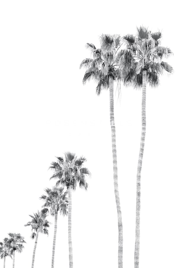 Mahina Boulevard Fresh - Irene Suchocki