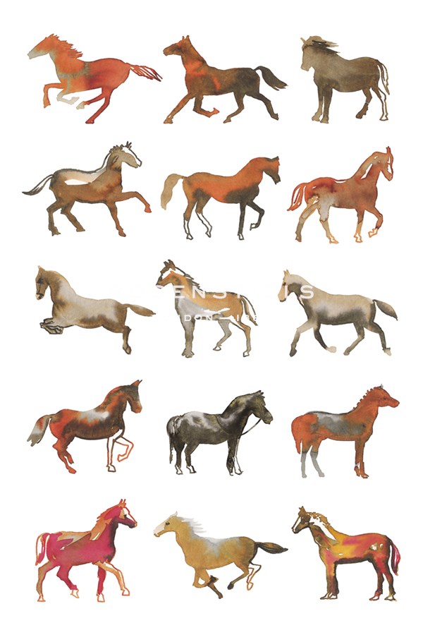 Pony Club - Sandra Jacobs