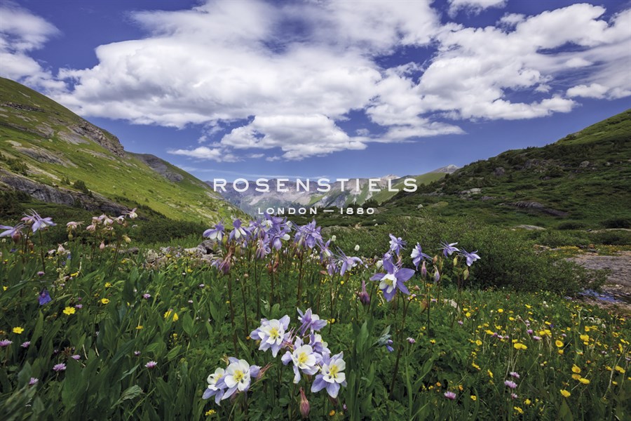 Kiss of the Mountain - Michael Greene