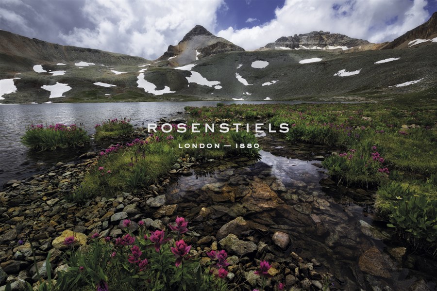 Beginnings of Spring - Michael Greene