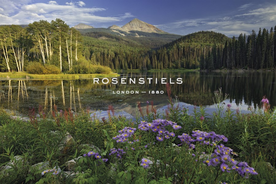 Luscious Landscape - Michael Greene