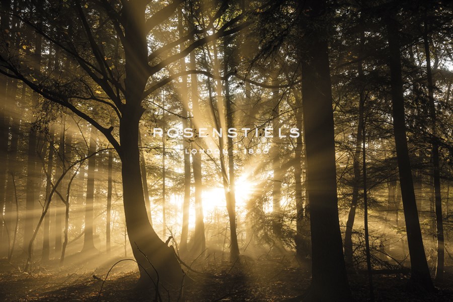 Gleaming Through - Lee Frost