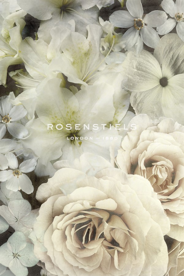 Dazed Devotion - Collezione Botanica