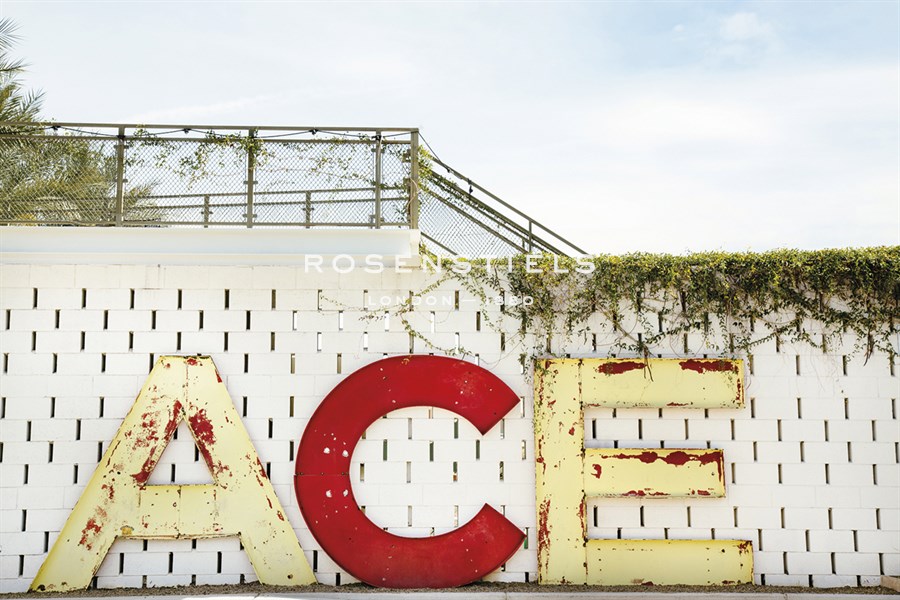 Urban Ace - Irene Suchocki