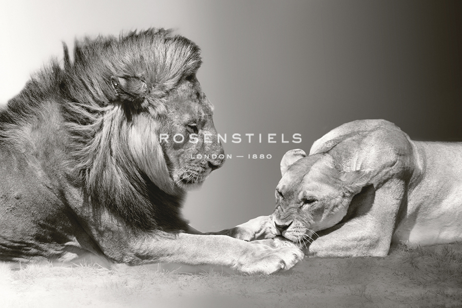 Kenyan Lions - Bobbie Goodrich