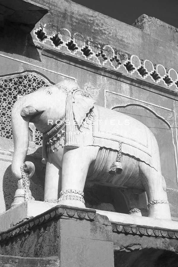 Jaipur Elephant - Grande - David Henley