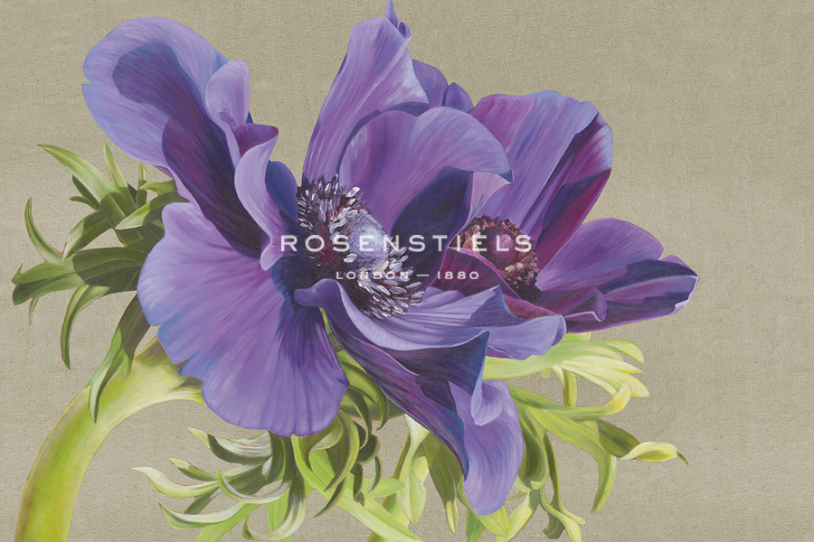 Reverence of Anemones - Sarah Caswell