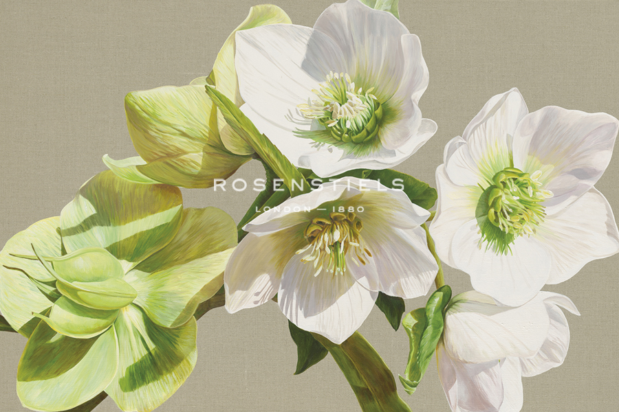 Gazing into the Sunshine - Sarah Caswell