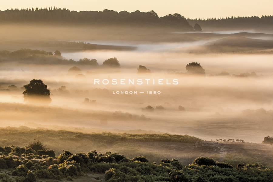 On The Horizon - Matt Roseveare
