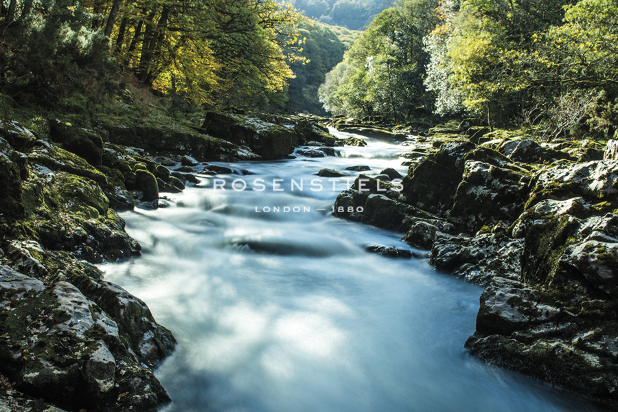 River Winding - Matt Roseveare
