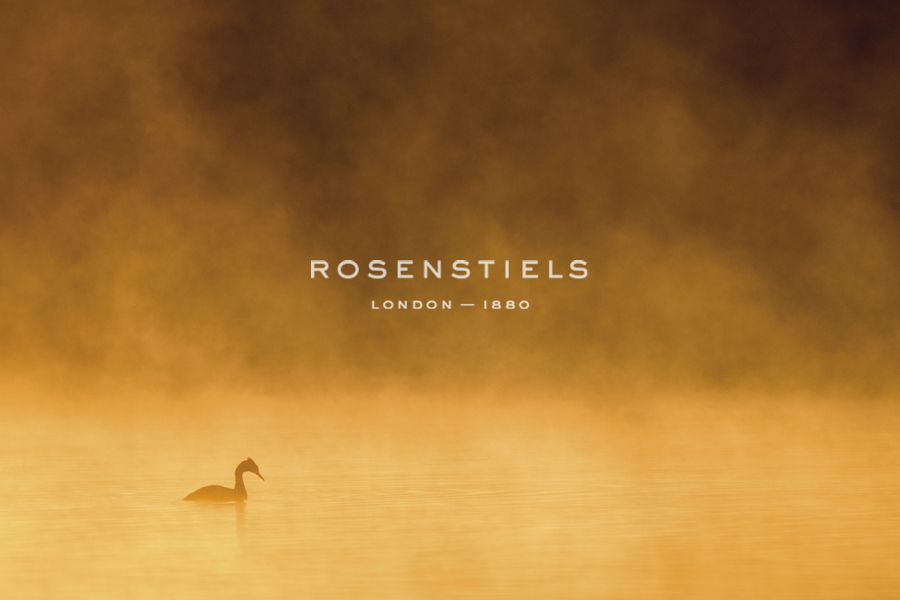 Mystic Dawn - Solo - Matt Roseveare