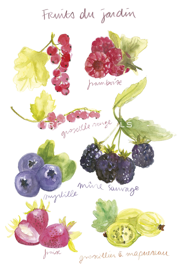 Fruits du Jardin - Katrien Soeffers