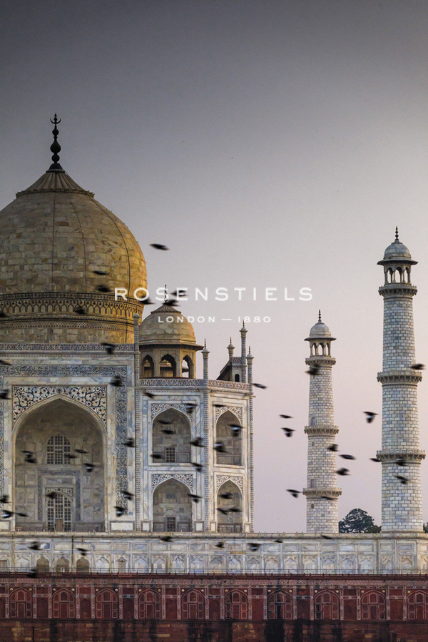 Taj Mahal Flock - Maurizio Rellini