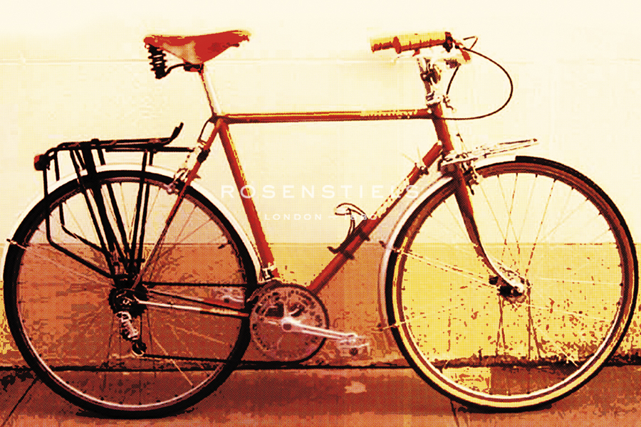 Cycle Colouration - Urban Octopus
