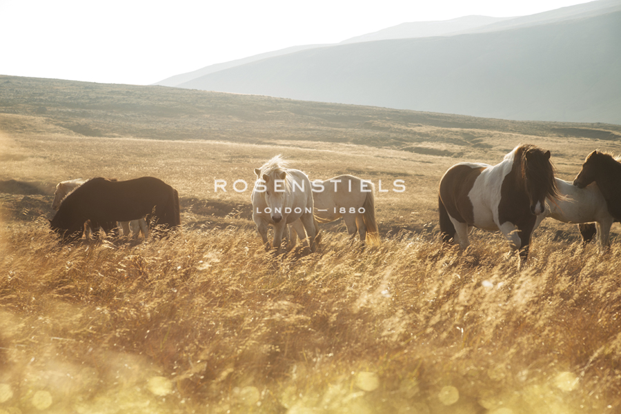 Moorland Serenity - Andreas Stridsberg