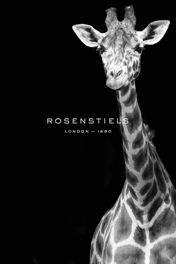 By a Neck - Noir - Matt Roseveare