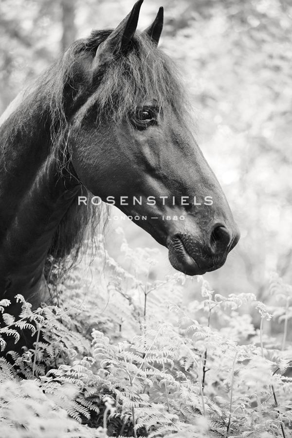 Ethereal Poise - Irene Suchocki