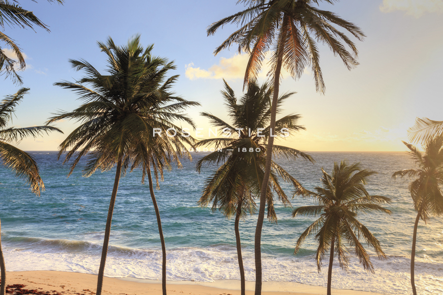 Peaceful Paradise - Michele Falzone