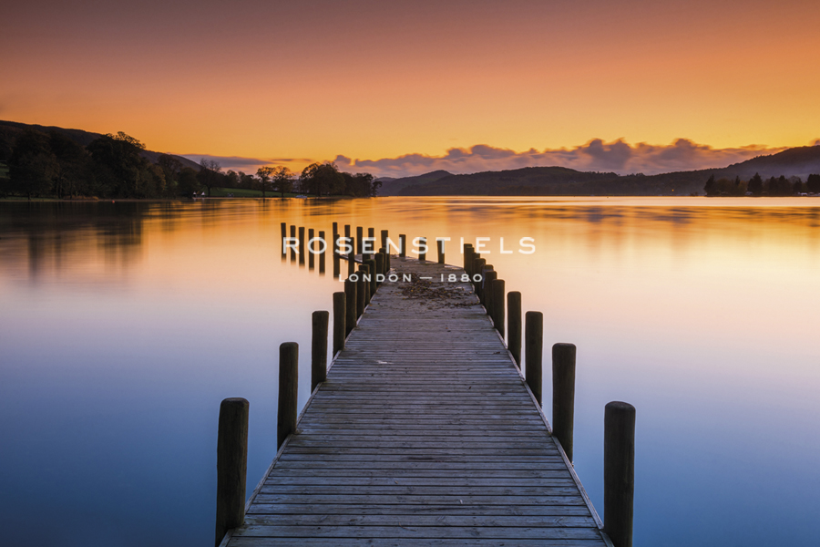 The View Ahead - Tom Mackie