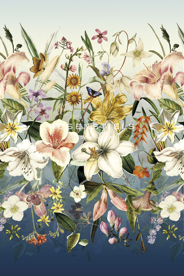 Orchids in Bloom - Stefan Jans