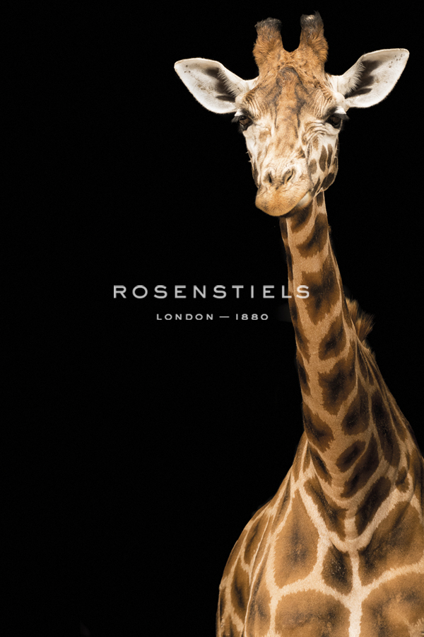 By a Neck - Matt Roseveare