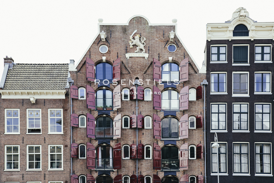Elegant Edifices - Irene Suchocki