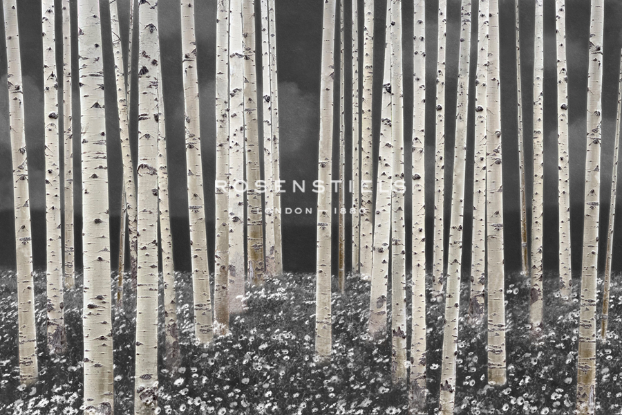 Birch Forest - Dusk - Midori Greyson