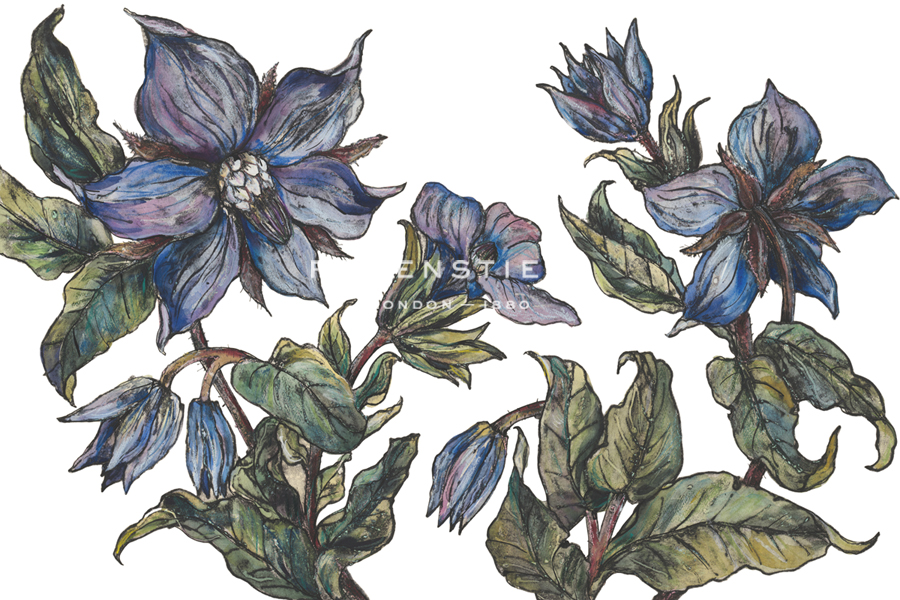 Borage to Lift the Spirits - Vicky Oldfield