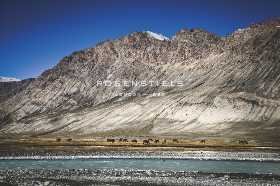 Panoramic Placidness - Andrew Geiger