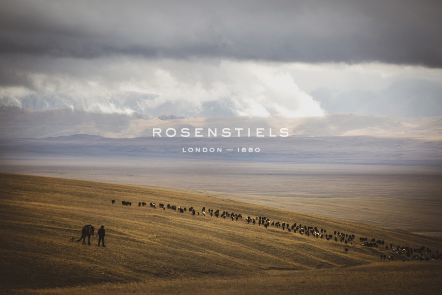 Grassland Grazing - Andrew Geiger