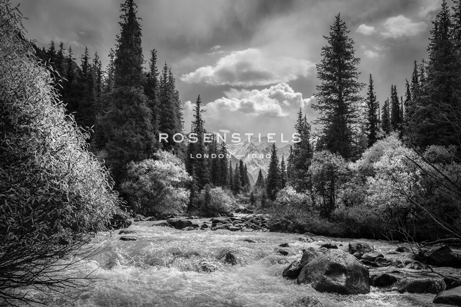 Wild Waterway - Andrew Geiger