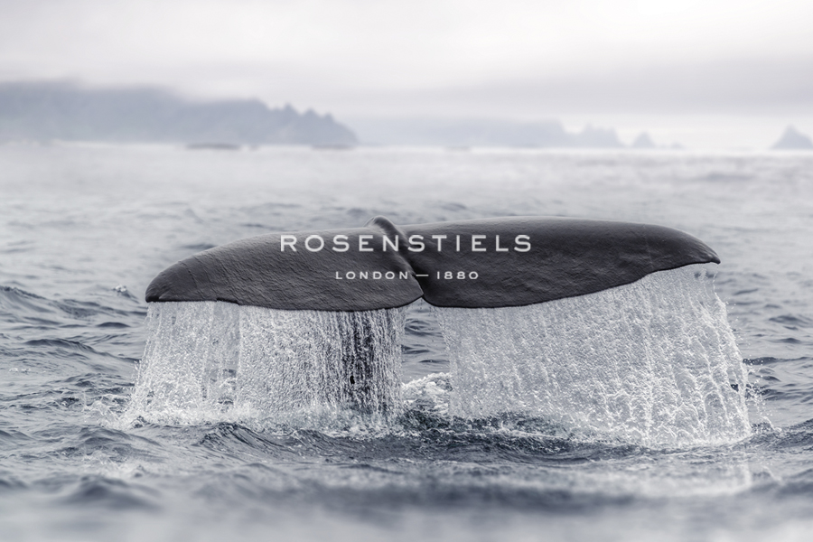 A Whale's Tail - Andreas Stridsberg