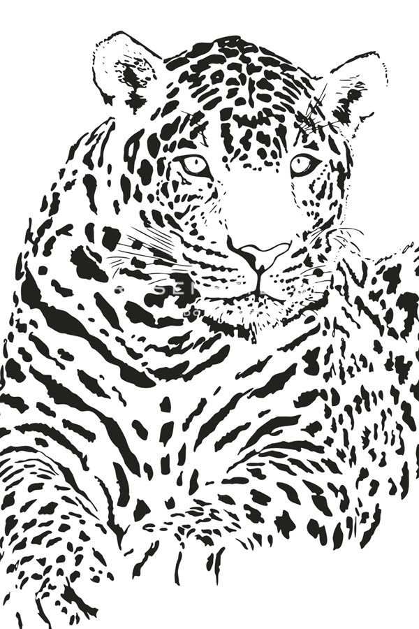 Bold Spots - Jaguar - Sasha Blake
