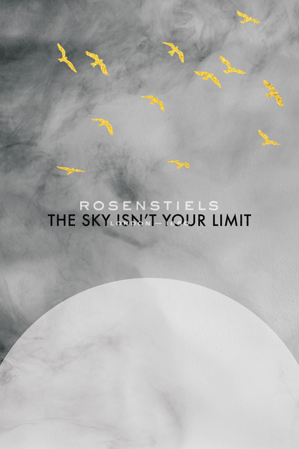 The Sky Isn't Your Limit - Joni Whyte