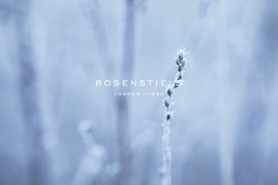 Frozen Beauty - Andreas Stridsberg