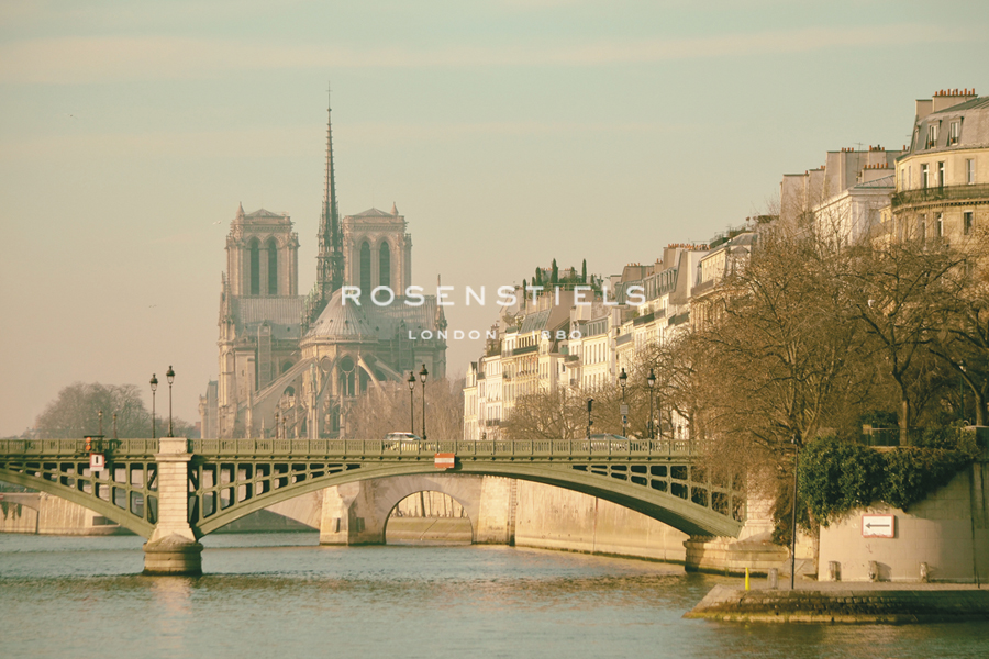 Parisian Icons - Carina Okula
