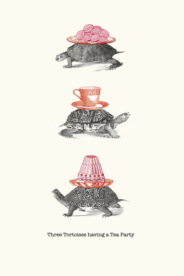 Tortoise Tea Party - Gwen Aspall