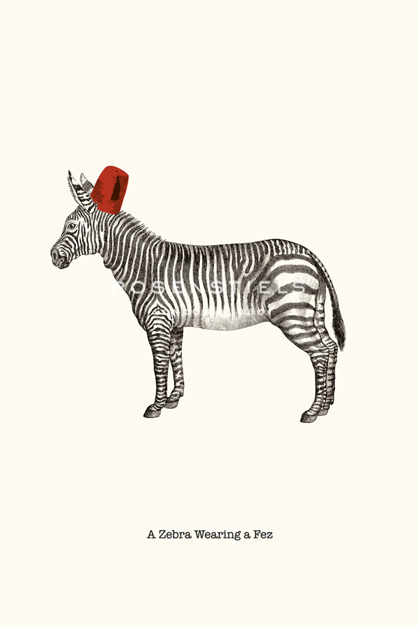 Zebra In A Fez - Gwen Aspall