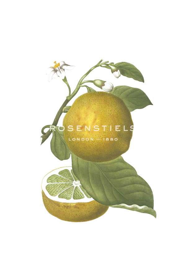 Fruit Collection - Pomelo - The Vintage Collection