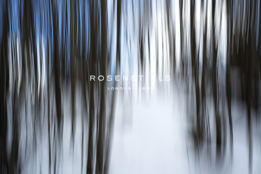 Forest Formation - Andreas Stridsberg