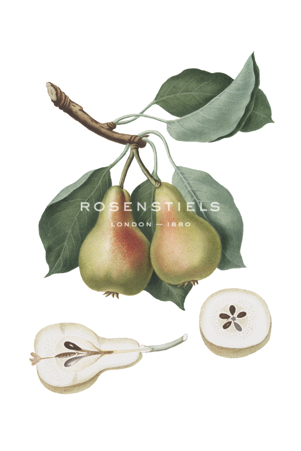 Pera Bosc - The Vintage Collection