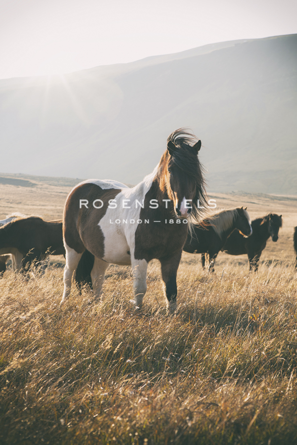 Proud - Andreas Stridsberg