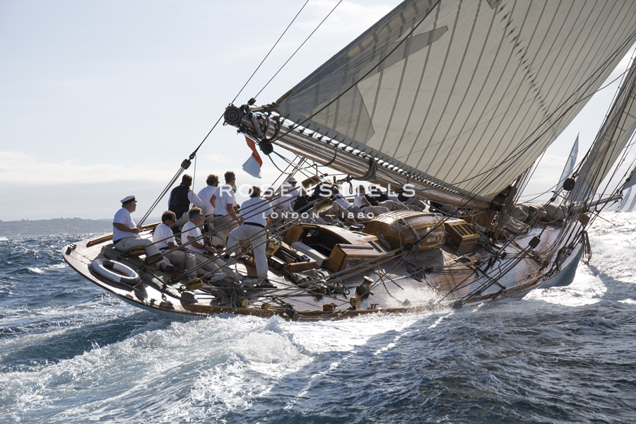 Sailing Splash - Ben Wood