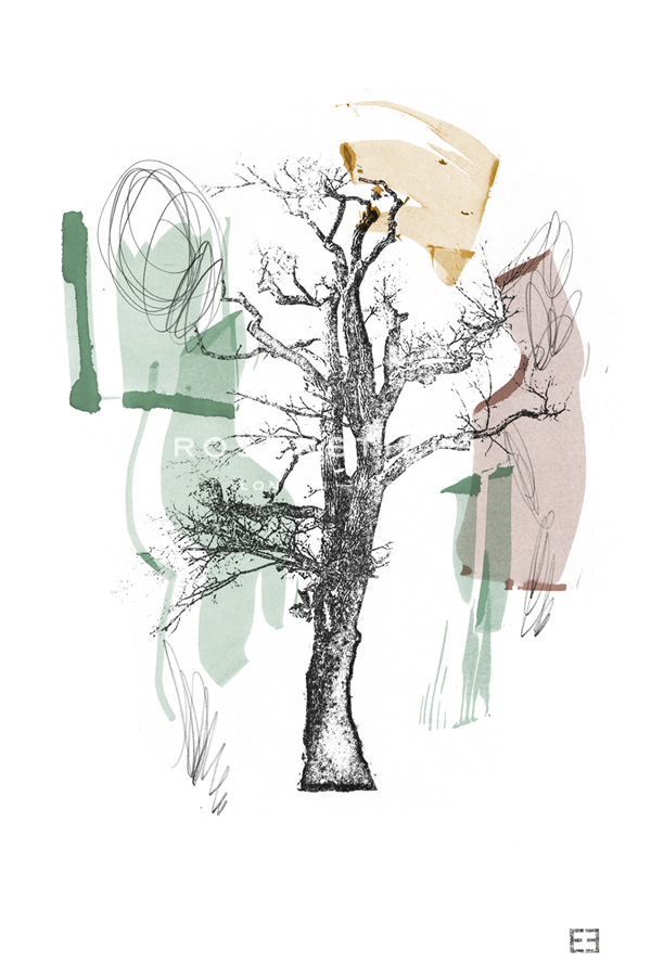 Oak Synthesis - Eva Hjelte