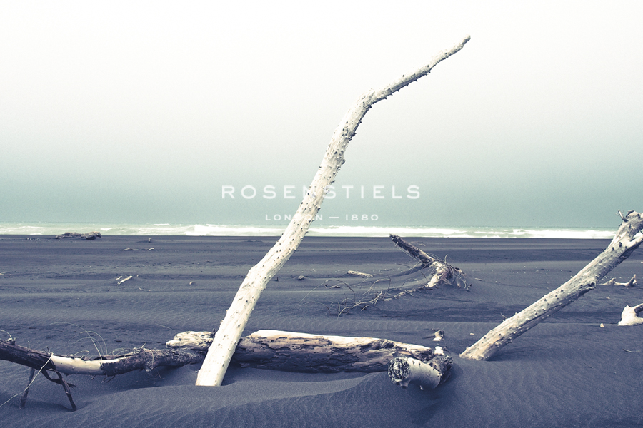 Beach Bones - Florian Schleinig